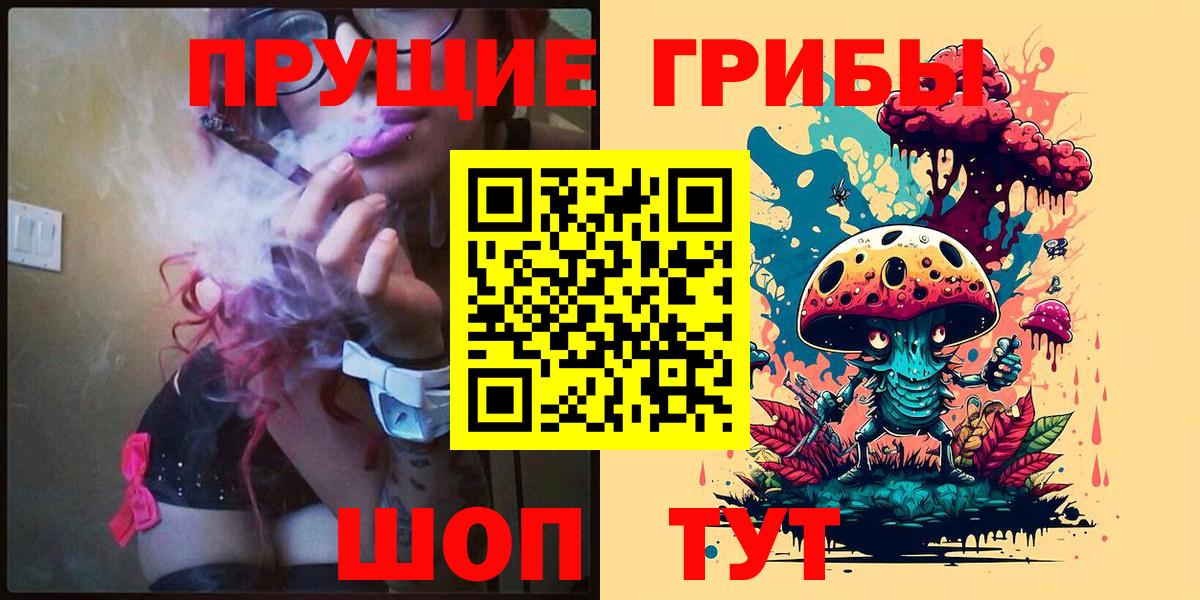 Галлюциногенные грибы Psilocybine cubensis Донской