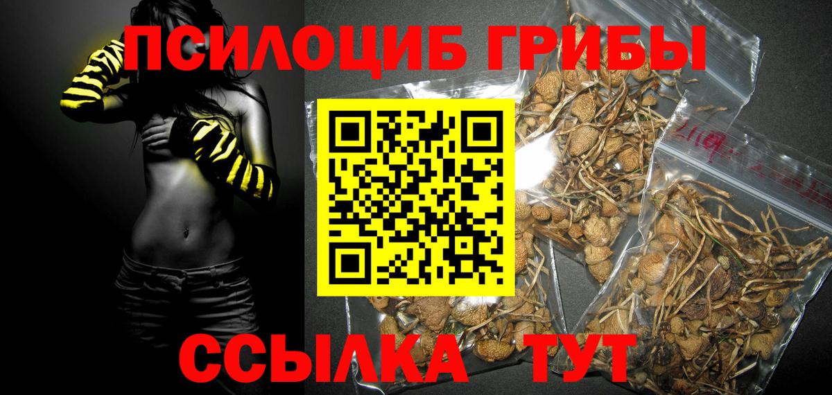 Донской  Галлюциногенные грибы Magic Shrooms  Вход с VPN 